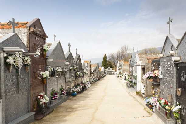 市内公墓的内部有坟墓、壁龛和万神殿。图片下载