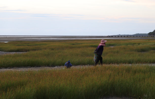 一位女士在海滩上拖着她的牡蛎图片下载