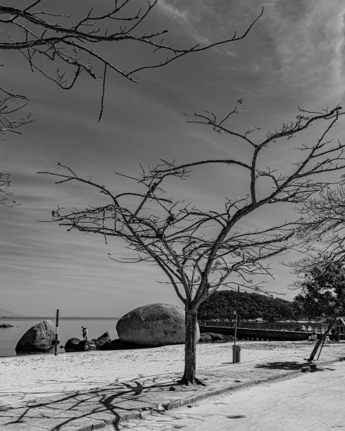 典型的城市环境，从邻里的日常生活，记录在Paquetá。黑白照片(单色)。图片下载