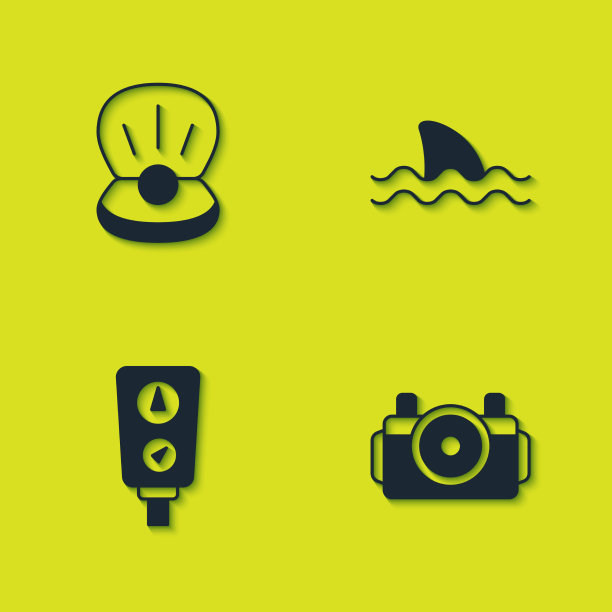 设置珍珠相机的潜水仪表刻度和图片下载