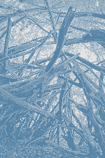 森林中树枝的旧遮蔽物图片下载