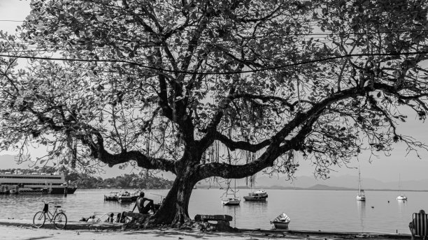 典型的城市环境，从邻里的日常生活，记录在Paquetá。黑白照片(单色)。图片下载