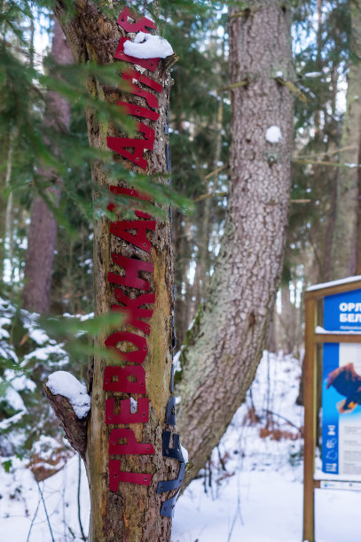 摊位上有濒危动植物的照片。保护区的生态步道。一个警告。珍稀动物和鸟类的海报。图片下载