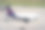 一个阳光明媚的夏日，布鲁塞尔航空公司的空客A330-300飞机在日内瓦机场注册OO-SSF滑行。照片拍摄于2021年7月29日，瑞士日内瓦。图片下载
