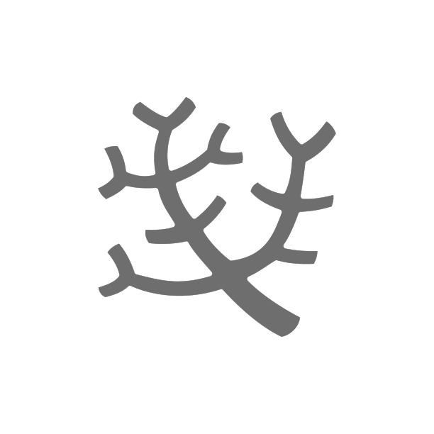 海珊瑚、海草、灰色图标孤立在白色上图片下载