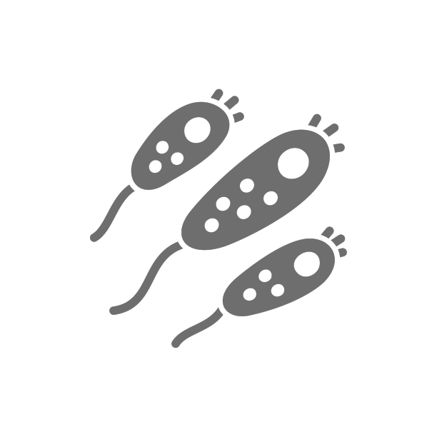 益生菌芽灰色图标分离图片下载