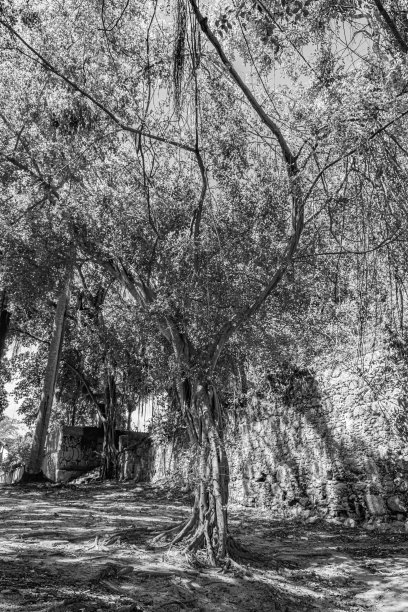 典型的城市环境，从邻里的日常生活，记录在Paquetá。黑白照片(单色)。图片下载