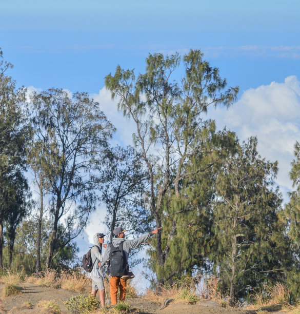 Advanture朋友图片下载