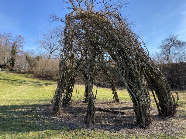 瑞士霍根州Zürich (Schweiz)， Bergweiher池塘旁和Grindelriet保护区Zürich (Zürichsee)。图片下载