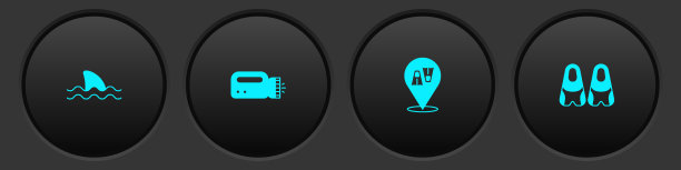 为潜水员脚蹼游泳设置鲨鱼手电筒图片下载