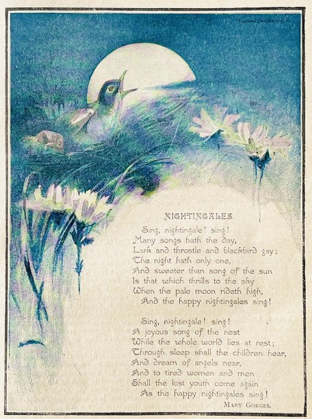 夜莺的诗图片下载