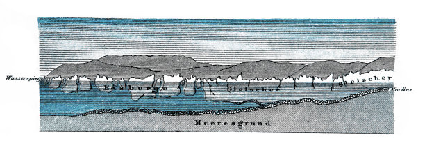 格陵兰冰川在峡湾中滑入大海，然后游泳，最后幼崽图片下载