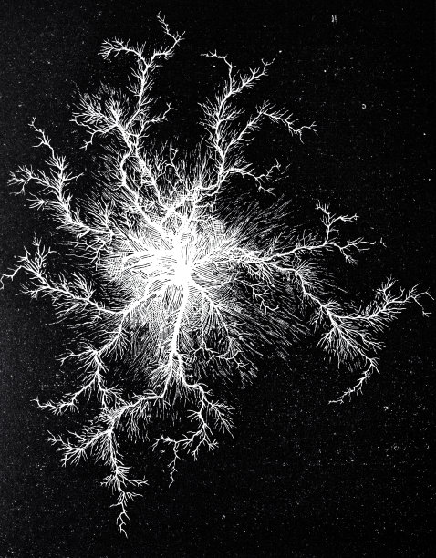 抽象电结构图片下载