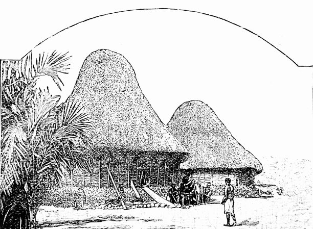 斐济的房子和前面的当地人图片下载