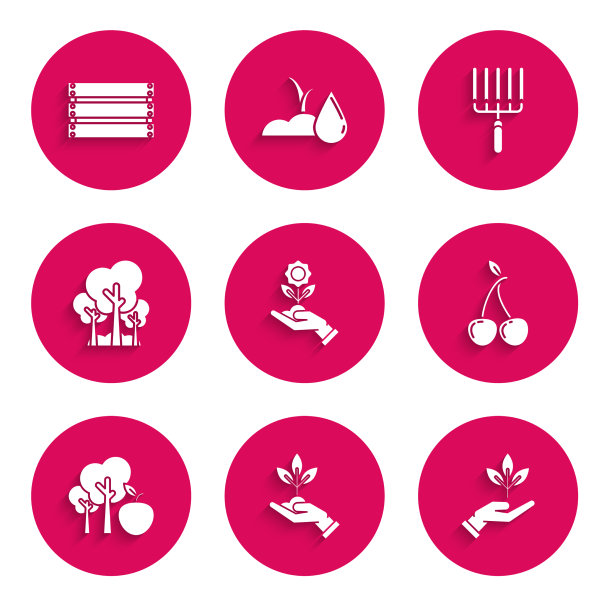 集手捧花植物手的图片下载