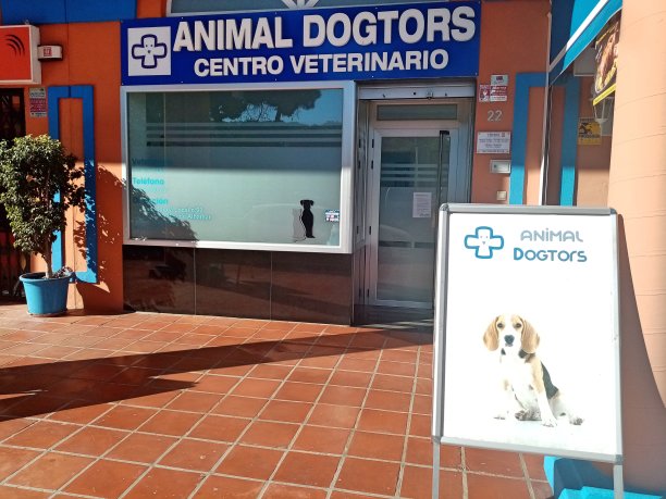 西班牙兽医图片下载