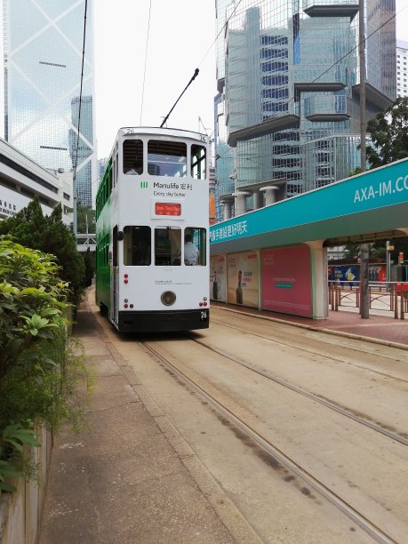 香港的交通工具“叮叮”车图片下载