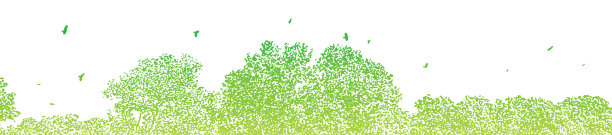 树木和鸟群图片下载