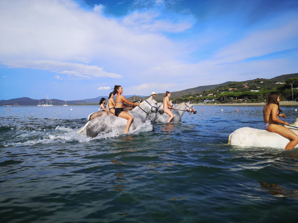 快乐的年轻人和马在海里游泳图片下载