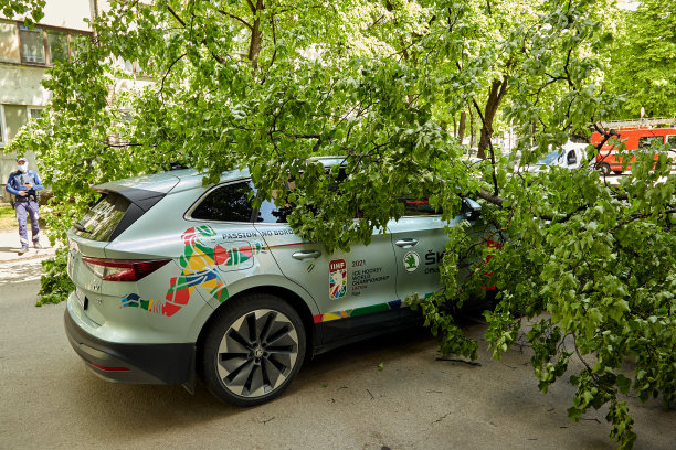 一股大风刮断了一棵树，树倒在了停在附近的一辆汽车上图片下载