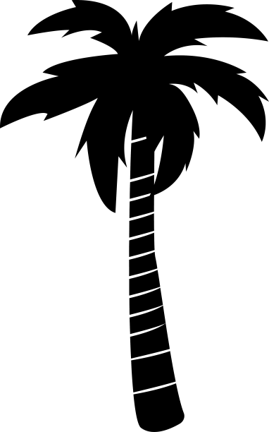 棕榈树图片下载