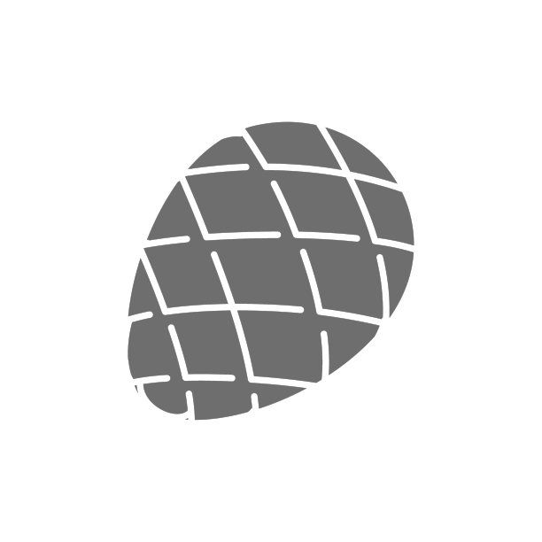 冷杉锥灰色图标孤立在白色背景图片下载