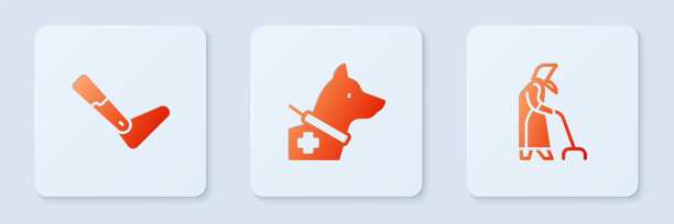 安装导盲犬义肢和祖母图片下载