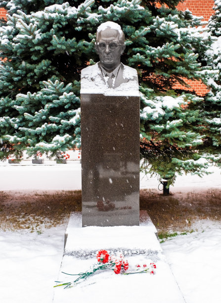 克里姆林宫墙上的墓地图片下载