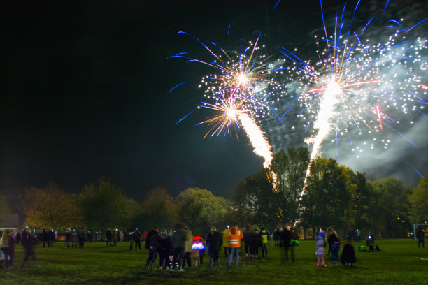盖伊·福克斯之夜看烟花的人群图片下载