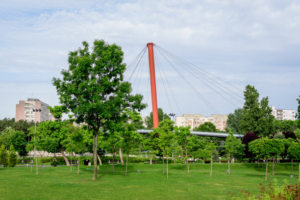 Drumul Taberei公园的现代金属桥、湖泊和绿树景观(Parcul Drumul Taberei)图片下载
