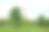 Drumul Taberei公园的现代金属桥、湖泊和绿树景观(Parcul Drumul Taberei)图片下载