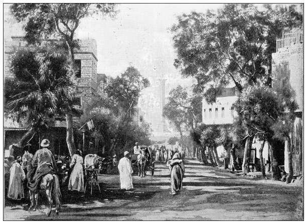 埃及古董旅行照片：通往庞贝柱的道路图片下载