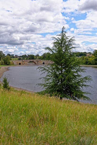 布伦海姆宫花园-伍德斯托克，牛津郡，英国图片下载