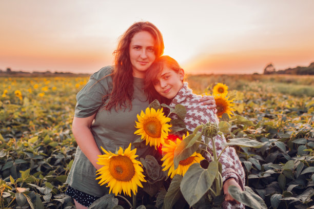 夕阳下，母亲和女儿在向日葵地里拥抱的照片。一家人在户外享受夏日美景图片下载