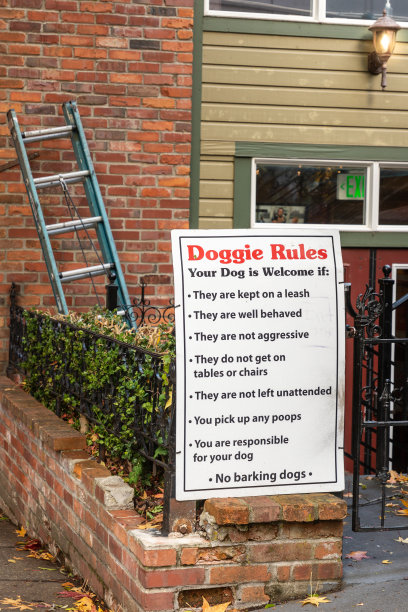 狗狗规则概述了预期的小狗行为图片下载