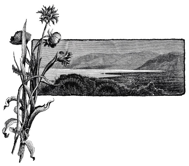 加利利湖图片下载