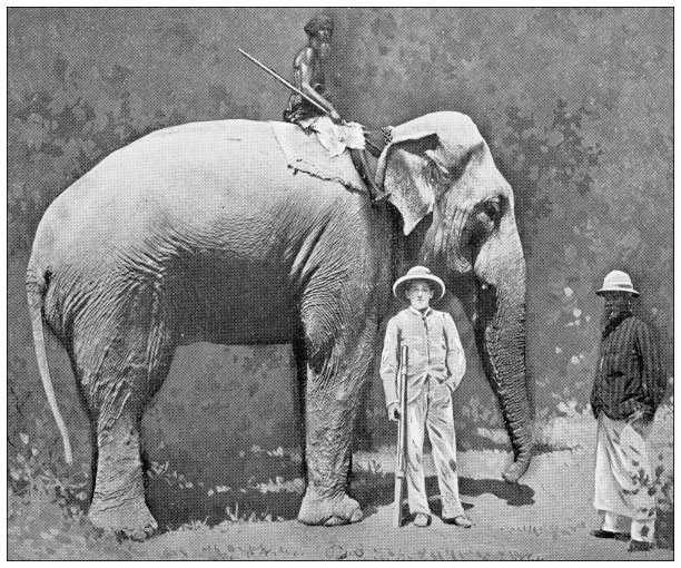 印度古董旅行照片:大象图片下载