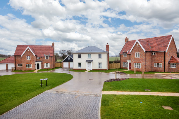 全新住宅小区的高架视图图片下载