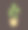 小盆栽植物图片下载