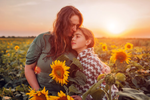 夕阳下，母亲和女儿在向日葵地里拥抱的照片。一家人在户外享受夏日美景图片下载