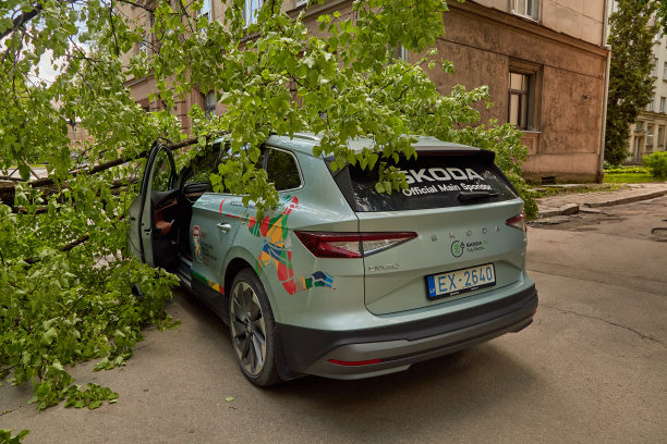 一股大风刮断了一棵树，树倒在了停在附近的一辆汽车上图片下载