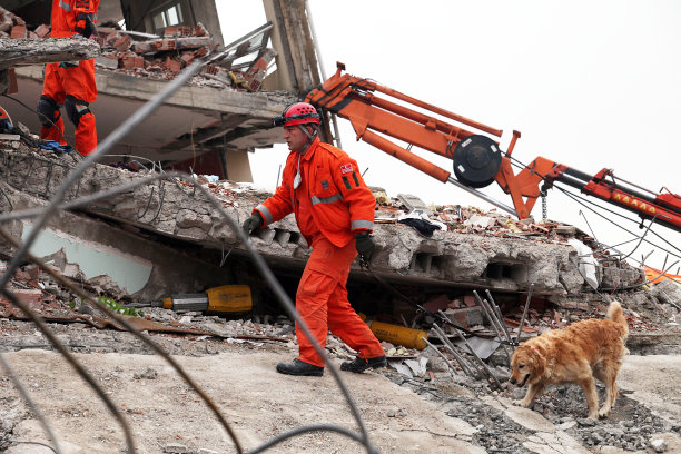 救援人员和救援犬正在寻找废墟下的伤者图片下载