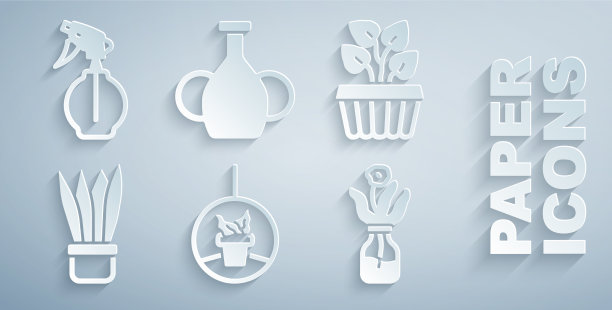 挂盆栽植室内植物常青藤花图片下载