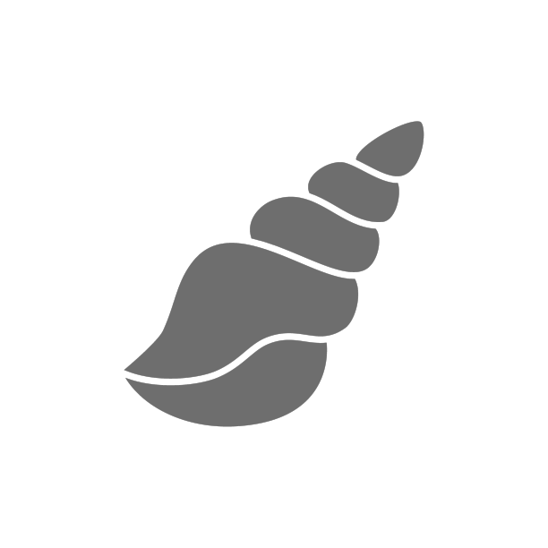 贝壳壳灰色图标孤立在白色图片下载