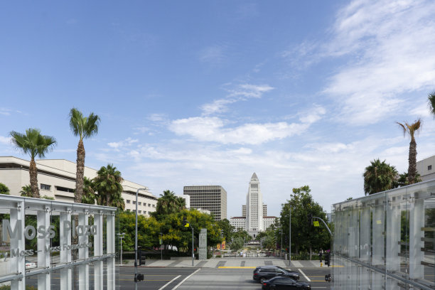 从加州洛杉矶市中心的大公园眺望市政厅。图片下载