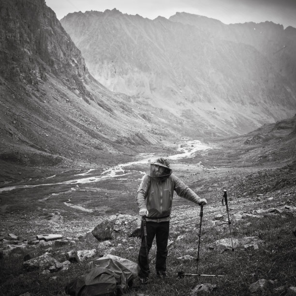 科达山区，徒步旅行者在山峦和树木的背景上图片下载