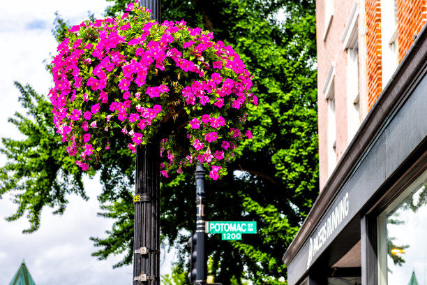 M波托马克街在乔治敦特区悬挂花篮与彩色粉红色花盆步行者跑步商店商店图片下载