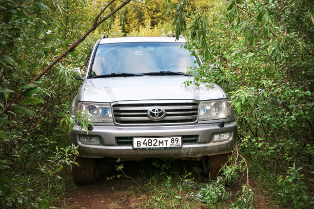 丰田陆地巡洋舰100图片下载