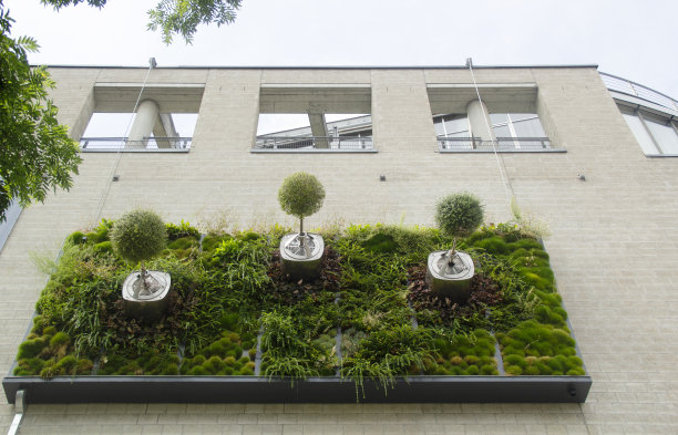 德国建筑外部垂直花园街景斯图加特-巴登-符腾堡市中心户外图片下载