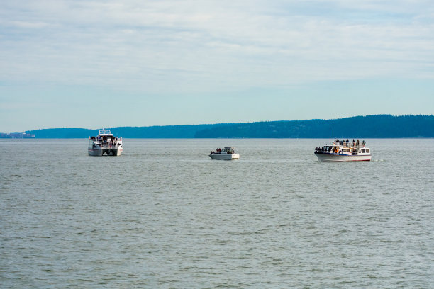橡树港,华盛顿图片下载